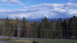 Panorama Javorníků