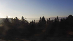 Panorama Javorníků