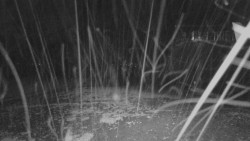 Horní stanice Lanové dráhy