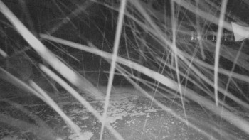 Snímek    28.10.2025 v 22:15