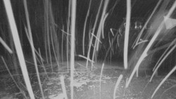 Horní stanice Lanové dráhy