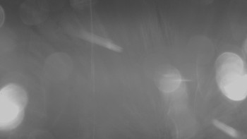 Snímek    3.11.2025 v 01:15