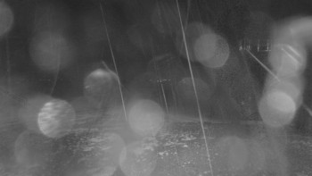 Snímek    3.11.2025 v 02:31