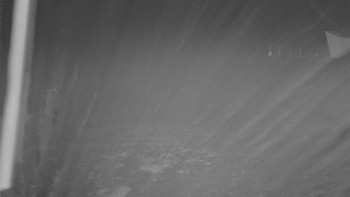 Snímek    3.11.2025 v 05:31