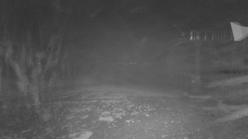 Snímek 8.11.2025 v 22:31