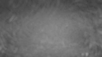 Snímek 15.11.2025 v 19:31