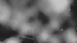 Horní stanice Lanové dráhy