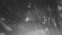 Horní stanice Lanové dráhy