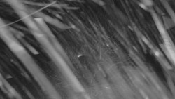 Horní stanice Lanové dráhy