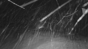 Snímek 24.11.2025 v 01:01