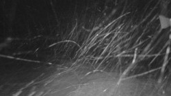 Horní stanice Lanové dráhy