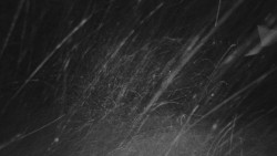 Horní stanice Lanové dráhy