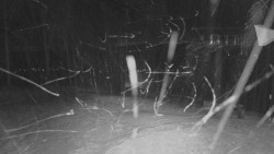 Horní stanice Lanové dráhy