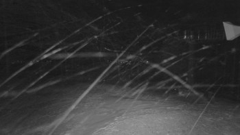 Snímek 24.11.2025 v 06:01