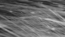 Horní stanice Lanové dráhy