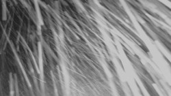 Horní stanice Lanové dráhy