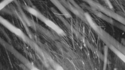 Horní stanice Lanové dráhy