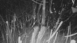 Horní stanice Lanové dráhy