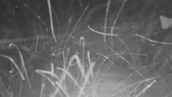 Horní stanice Lanové dráhy