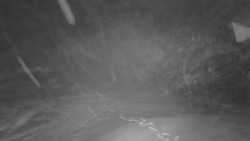 Horní stanice Lanové dráhy