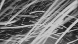 Horní stanice Lanové dráhy