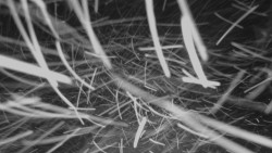 Horní stanice Lanové dráhy