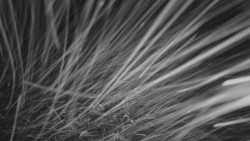 Horní stanice Lanové dráhy