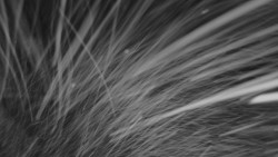 Horní stanice Lanové dráhy