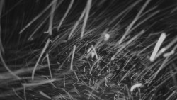 Horní stanice Lanové dráhy