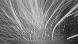 Horní stanice Lanové dráhy