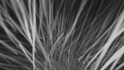 Horní stanice Lanové dráhy