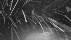 Horní stanice Lanové dráhy