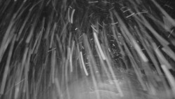 Horní stanice Lanové dráhy