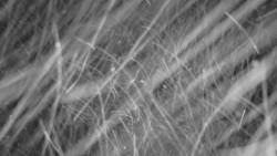 Horní stanice Lanové dráhy