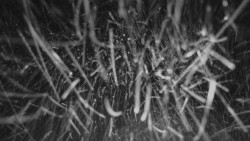 Horní stanice Lanové dráhy