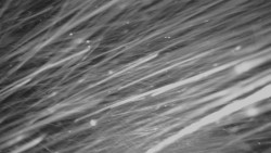 Horní stanice Lanové dráhy