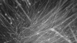 Horní stanice Lanové dráhy