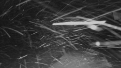 Horní stanice Lanové dráhy