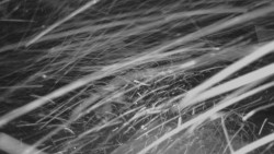 Horní stanice Lanové dráhy