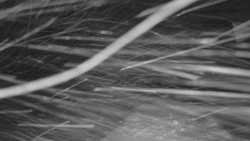 Horní stanice Lanové dráhy