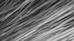 Horní stanice Lanové dráhy