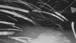 Horní stanice Lanové dráhy