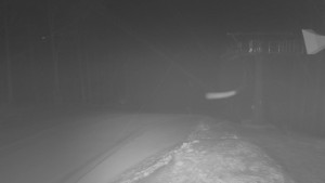 Skiareál - Skipark Filipovice - Horní stanice Lanové dráhy - 24.1.2026 v 05:15 Skiareál - Skipark Filipovice - Horní stanice Lanové dráhy - 24.1.2026 v 05:15