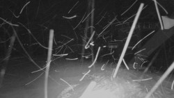 Horní stanice Lanové dráhy