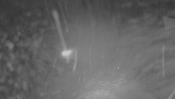 Horní stanice Lanové dráhy