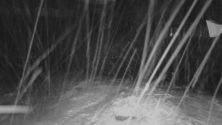 Horní stanice Lanové dráhy