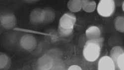 Horní stanice Lanové dráhy