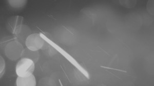 Skiareál - Skipark Filipovice - Horní stanice Lanové dráhy - 26.3.2026 v 03:15 Skiareál - Skipark Filipovice - Horní stanice Lanové dráhy - 26.3.2026 v 03:15