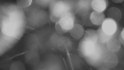 Horní stanice Lanové dráhy