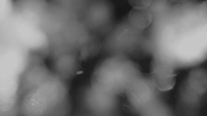 Skiareál - Skipark Filipovice - Horní stanice Lanové dráhy - 26.3.2026 v 05:01 Skiareál - Skipark Filipovice - Horní stanice Lanové dráhy - 26.3.2026 v 05:01